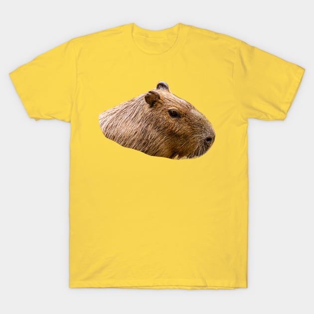 Capybara portrait T-Shirt by dalyndigaital2@gmail.com